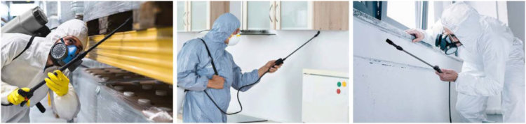 knapsack-pressure-cleaner-in-action knapsack style pressure sprayer in action